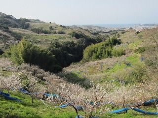 IMG_0319