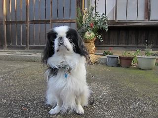 IMG_9078