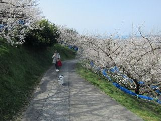 IMG_0375