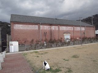 IMG_0488