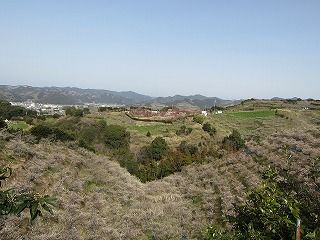 IMG_0383