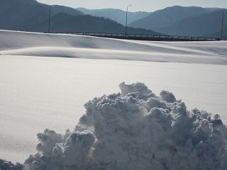 IMG_0611