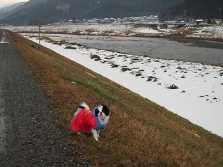 IMG_0425