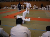 9870f237.jpg