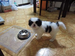 ����ϯ002_R