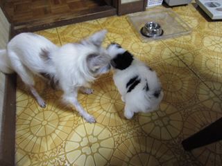 ����ϯ003_R