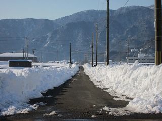 IMG_0610