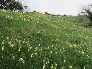 IMG_9532
