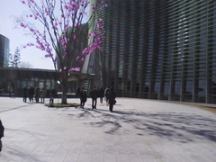 20090316A