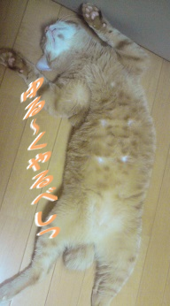 ケイ4