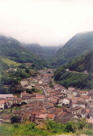 cerdon