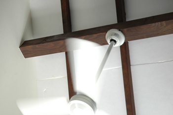 がんばる派　リビング　天井