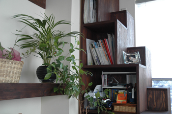 がんばる派　収納付　階段４