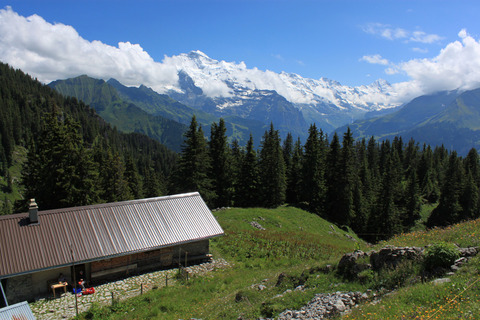 sIMG_5577