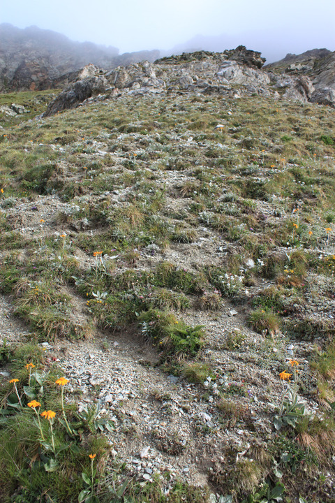 sIMG_5506
