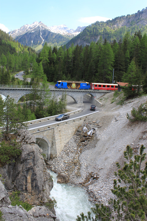 sIMG_3964