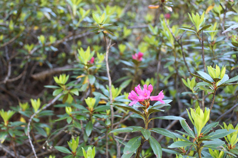 sIMG_5432