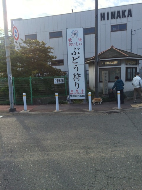 2015-12-01-09-15-39