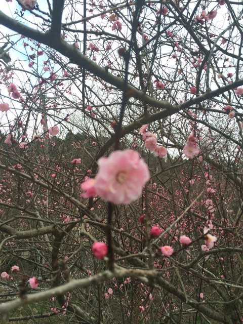 2016-03-21-07-56-53