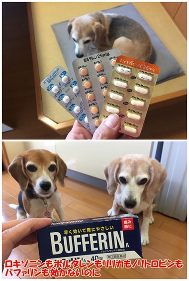 薬