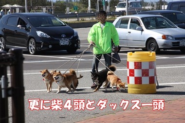 IMG_9619