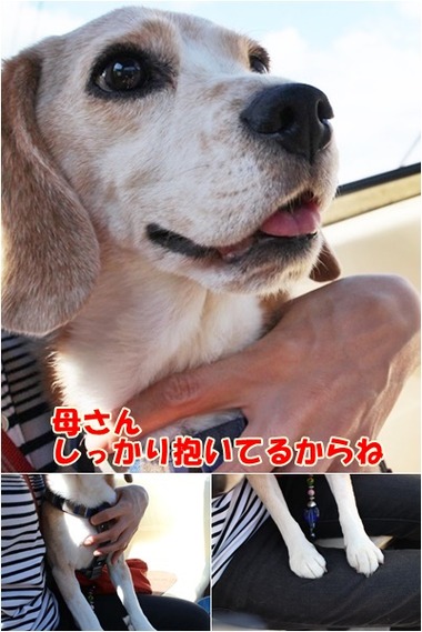 しっかり抱く