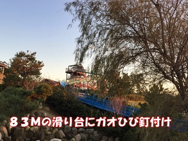 IMG_9885
