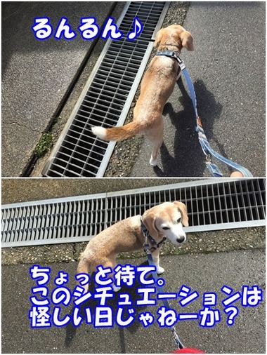 3月10日