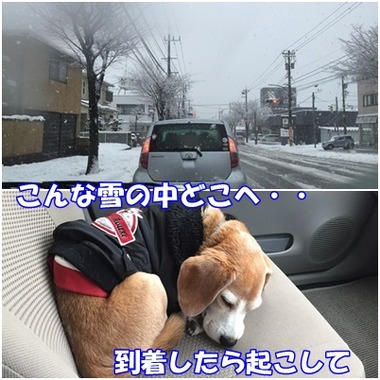 雪道