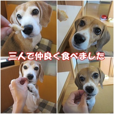 朝のパン