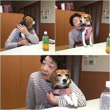 まったりタイム