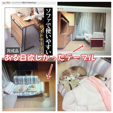 14900603_997943320333965_1353080008438244533_n