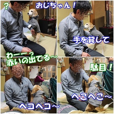 ガオ へこへこ
