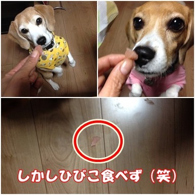 刺身