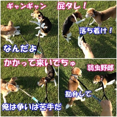 バトル