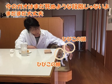ホラー