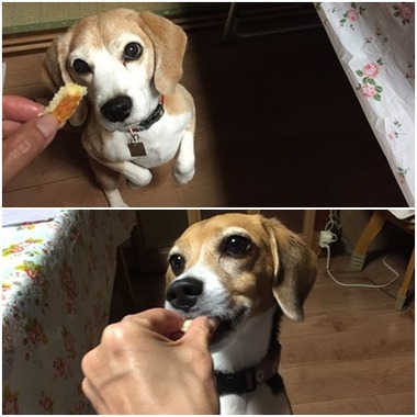 食後のデザート