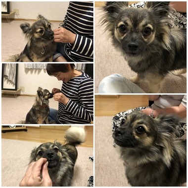 ルナ