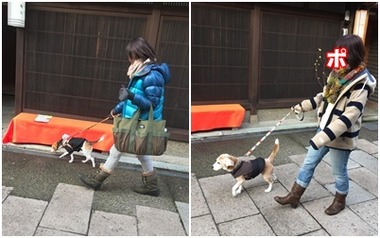 西茶屋