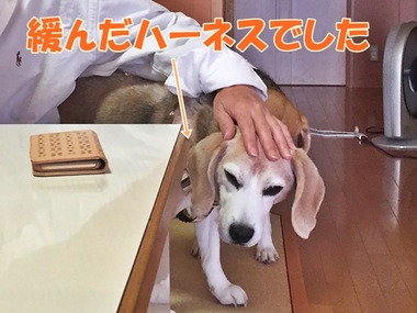 種明かし