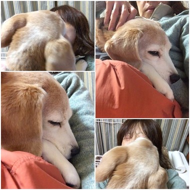 甘えん坊