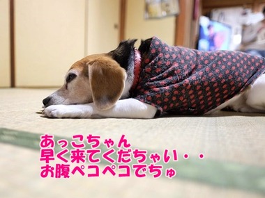 DSCF7567
