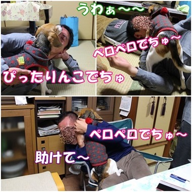 ひびこ ぴったりんこ