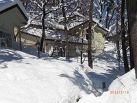 24年２月ｺﾃｰｼﾞ