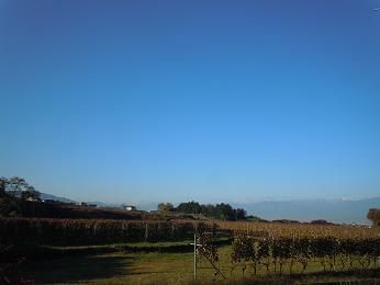 DSCN9282