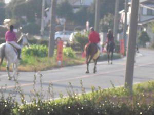 馬の散歩2