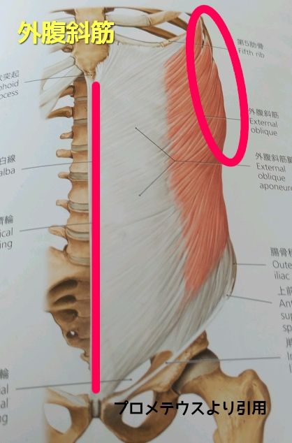 1546747980769