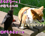 ¥ï¥ó