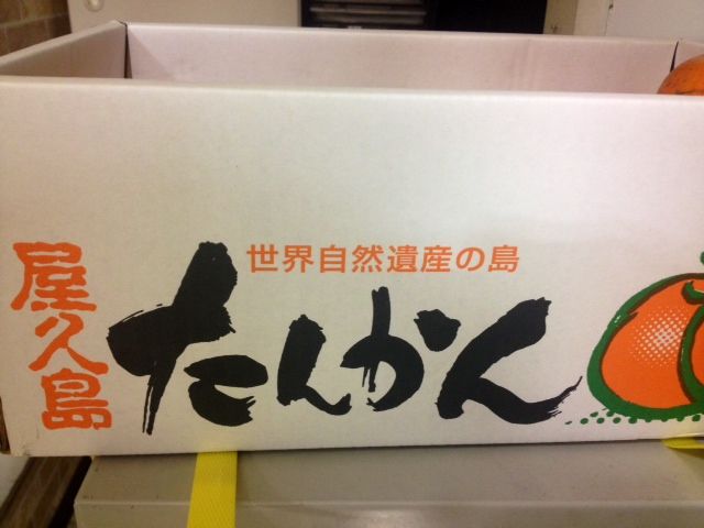 写真 1