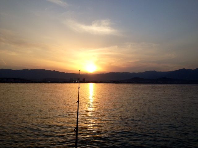 写真 2